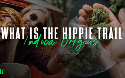 Indica Origins – What is the Hippie Trail