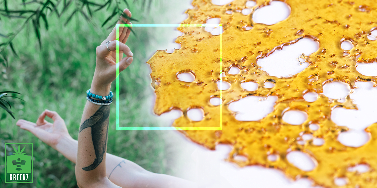 All About Concentrates – What Makes Each Unique & The Latest Trends