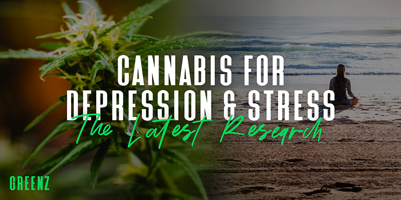The Latest on Cannabis for Depression & Stress