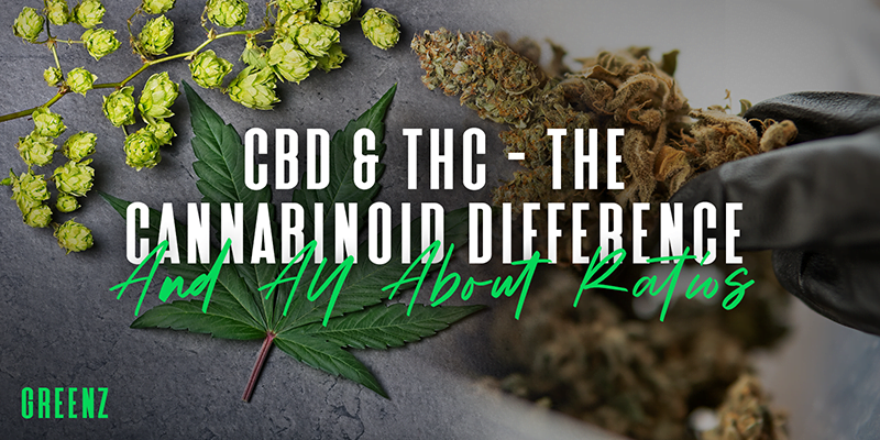 CBD & THC – The Cannabinoid Difference & All About Ratios