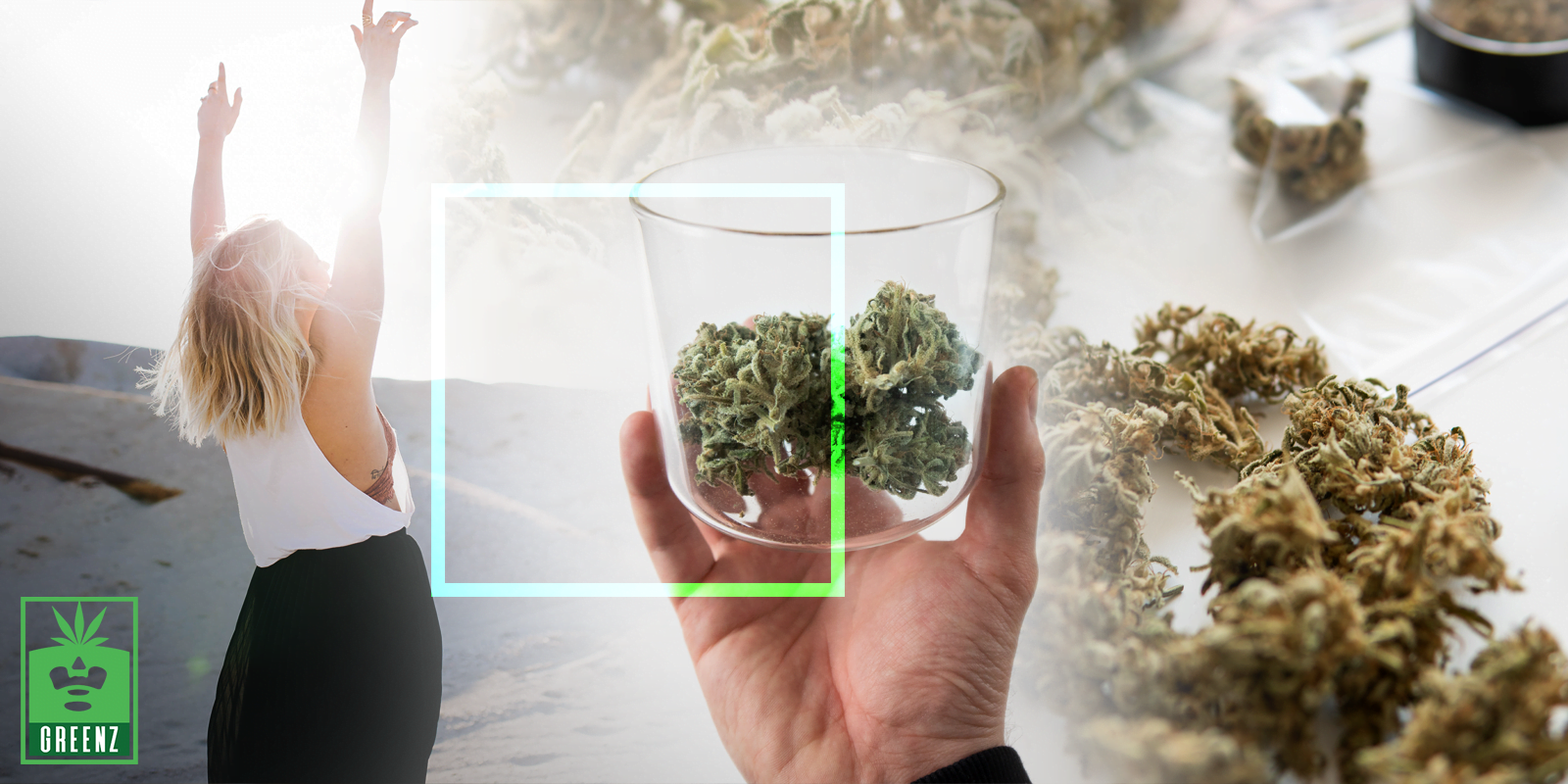 The Top 5 Latest Trends In Cannabis – Research, Users & Products