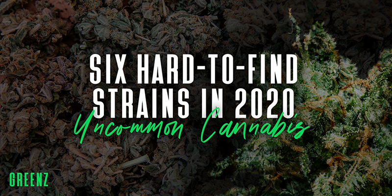 Uncommon Cannabis: Six Hard-To-Find Strains in 2020