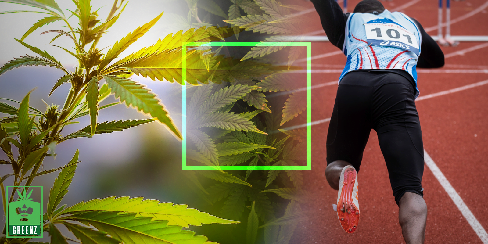 Cannabis For Athletes – How Weed Can Improve Your Workout