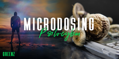 Microdosing Psilocybin – Latest Research & Newest Trends