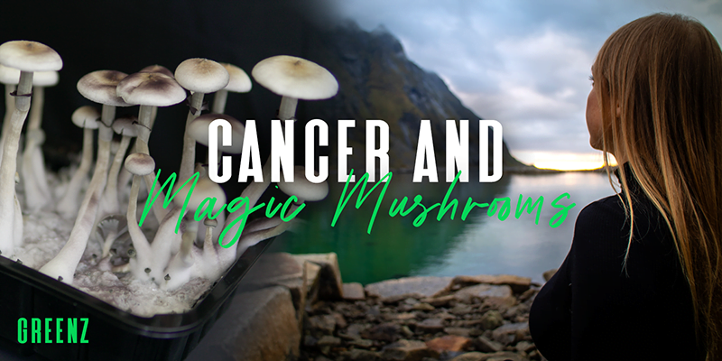 The Connection Between Cancer And Magic Mushrooms